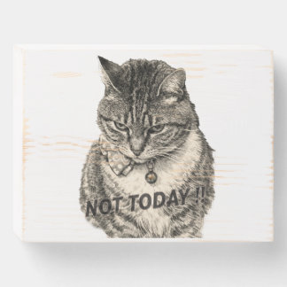 Tabby 'Tude "NOT TODAY!" Wooden Box Sign
