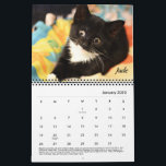 Tabby's Place calendar<br><div class="desc">Enjoy the Tabby's Place cats all year long,  with this delightful calendar filled with some of our wonderful cats.</div>