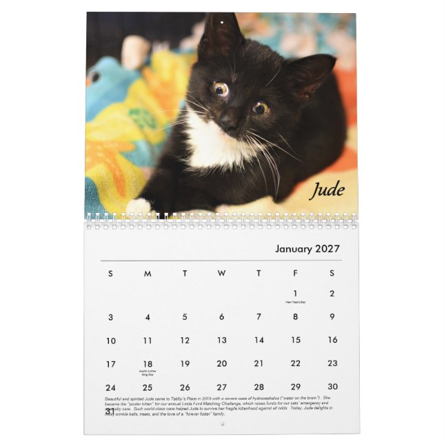 Tabby's Place calendar (Jan 2027)