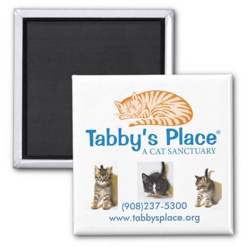 Tabbys Place magnet