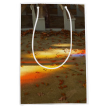 Tabernacle Leaves and Light - Martha's Vineyard