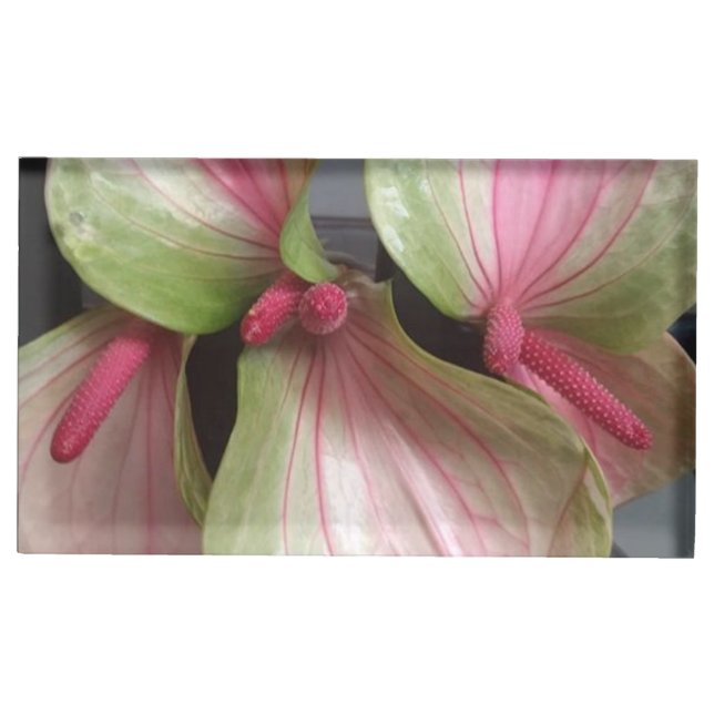 Table Card Holders (Front)