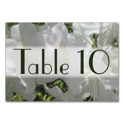 Table Card _ White Azaleas