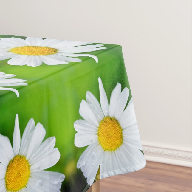 Table Cloth (In Situ)