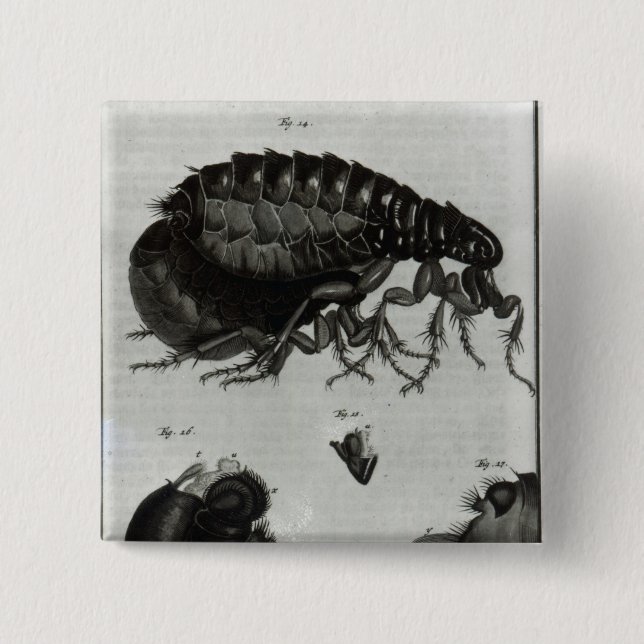 Table IV of Flies and Fleas Pinback Button (Front)