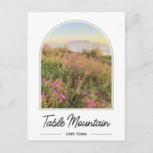 Table Mountain Cape Town South Africa Postcard