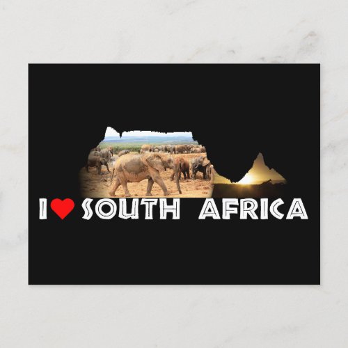 Table Mountain Elephant Cameo Postcard