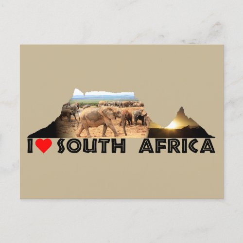 Table Mountain Elephant Cameo Postcard