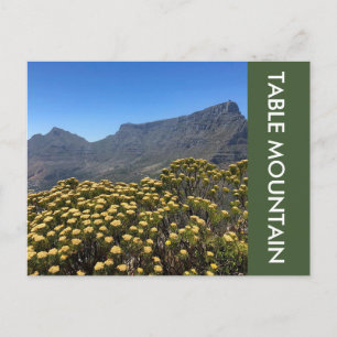 table mountain top postcard