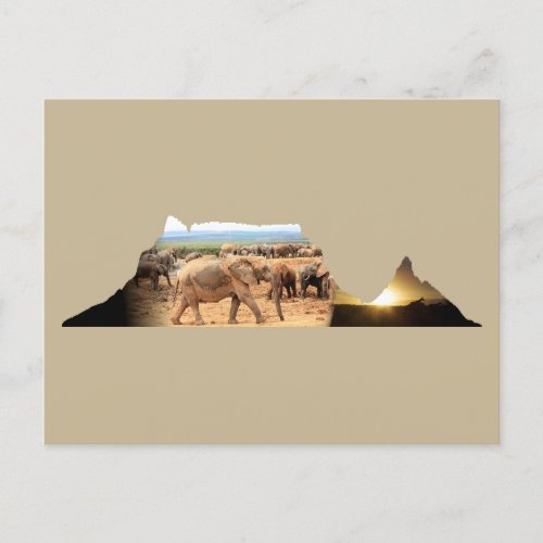 Table Mountain Wildlife Elephant Cameo Postcard