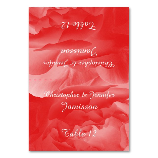 Table Number Cards, Floral, Coral Pink Rose (Front)