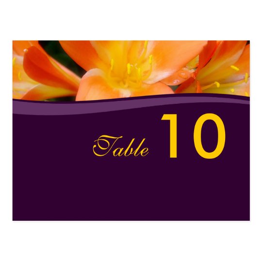 Table Number Postcard