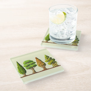 table of three carved trees digital drawing glass coaster