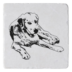 Table Poise: Graphic Golden Trivet