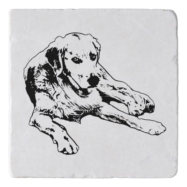 Table Poise: Graphic Golden Trivet (Front)