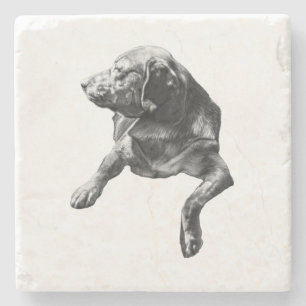 Table-Side Pause, Labrador Stone Coaster