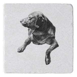 Table-Side Pause, Labrador Trivet