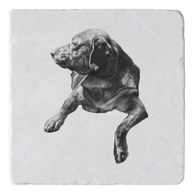 Table-Side Pause, Labrador Trivet (Front)