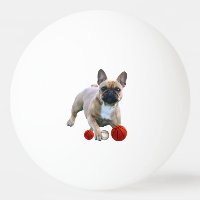 table tennis ball French bulldog (Front)