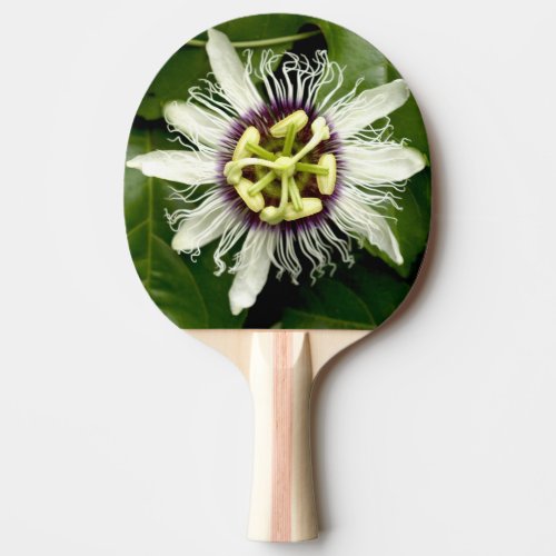Table Tennis Paddle Flower Paddle
