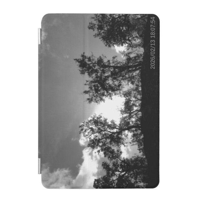 tablet case ART&DESIGN STYLES (Front)