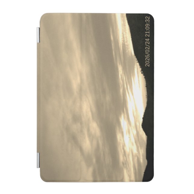 tablet case ART&DESIGN STYLES (Front)