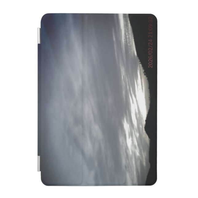 tablet case ART&DESIGN STYLES (Front)