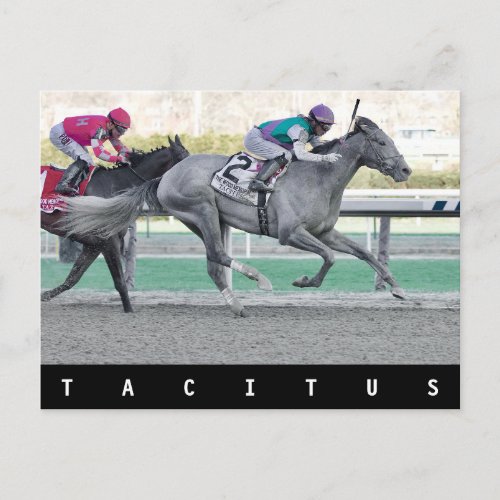 Tacitus Winning the Wood Memorial Stakes Postcard