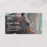 Tacked Dark Bay Horse Business Cards