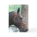 Tacked Dark Bay Horse Greeting Card