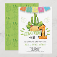 Taco Bout One | First Birthday Fiesta