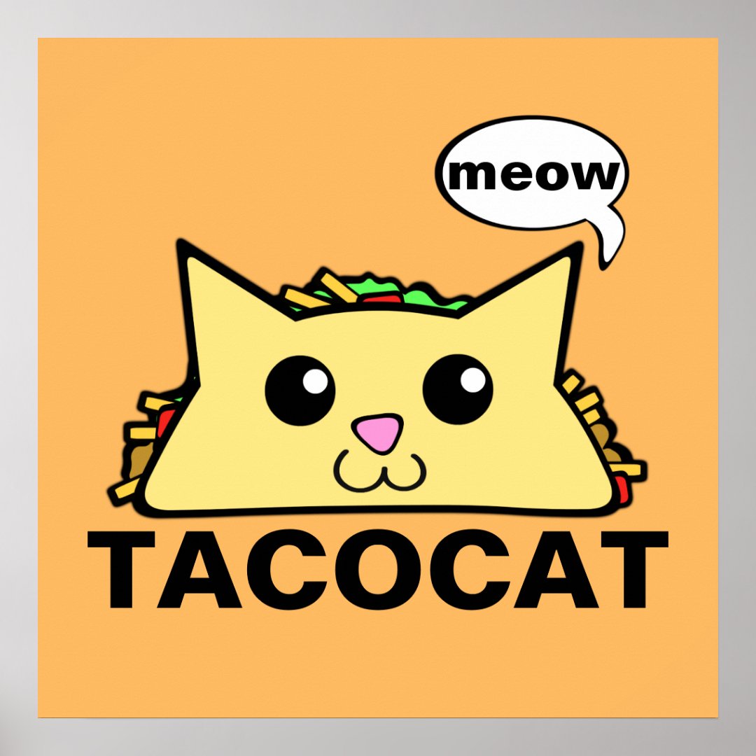 Taco Cat Poster Zazzle