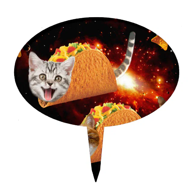 taco cat astronaut