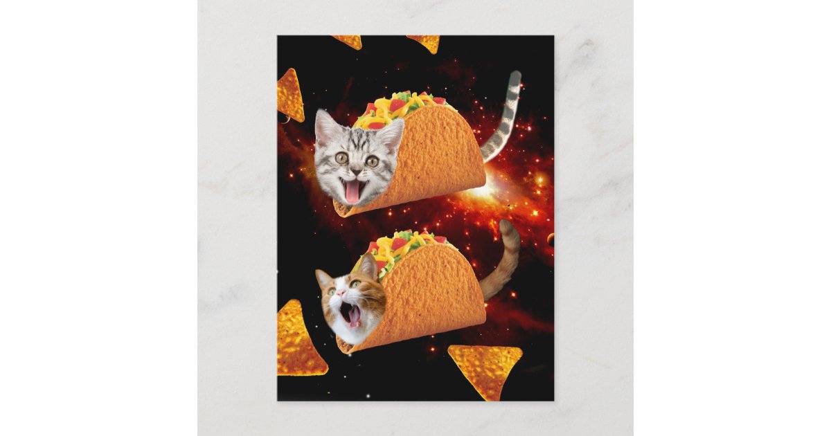 Taco Cats Space Postcard | Zazzle.com