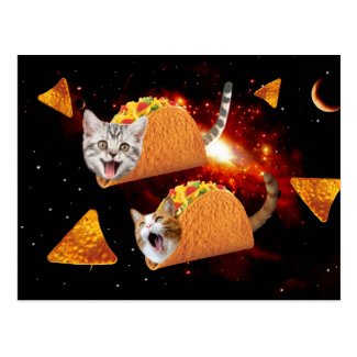 Taco Cats Space Postcard