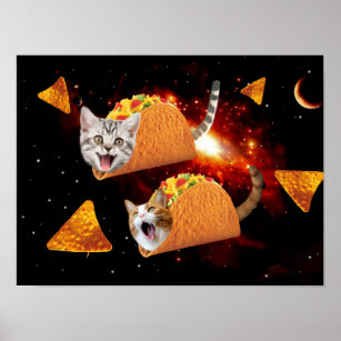 Cat in Space Funny Poster 12x18