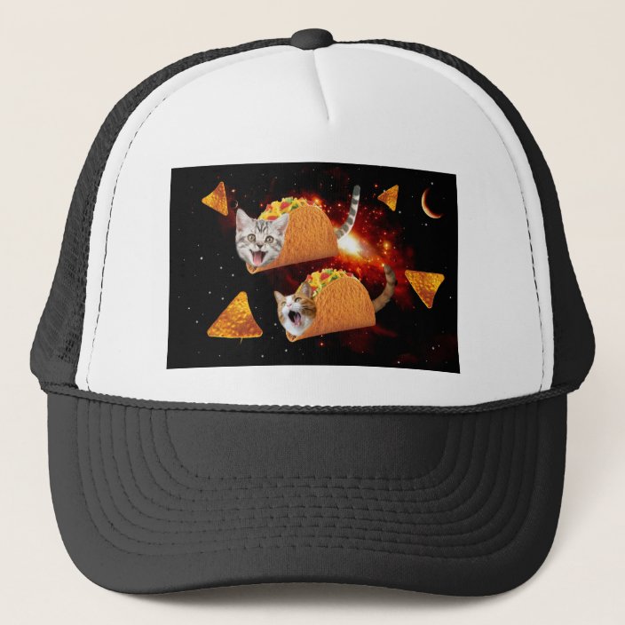 cat trucker hat