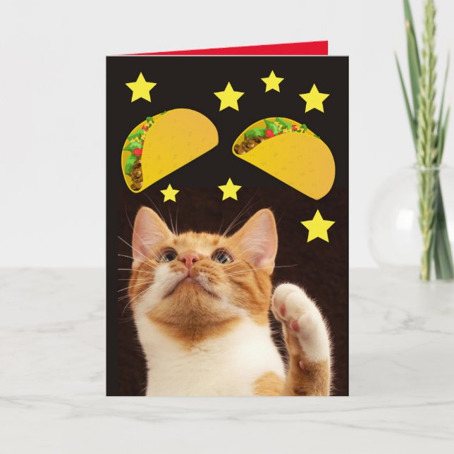 TACO SPACE CAT CHRISTMAS CARDS (Front)