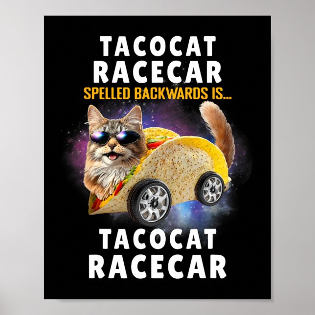 Tacocat Racecar Spelled Backwards Funny Mexican Ca Poster (Front)