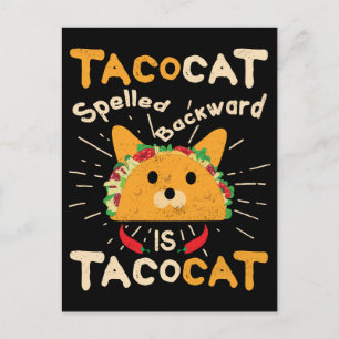Tacocat Spelled Backwards Cinco de Mayo Cat Taco Postcard