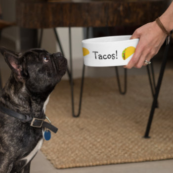 Tacos Funny Humor Dog  Pet Bowl by ColorFlowCreations at Zazzle