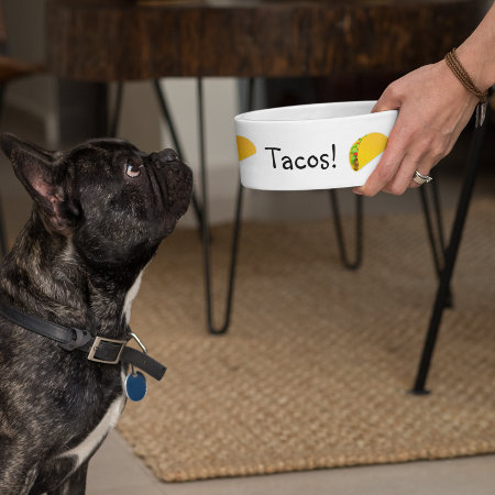 Tacos Funny Humor Dog  Pet Bowl