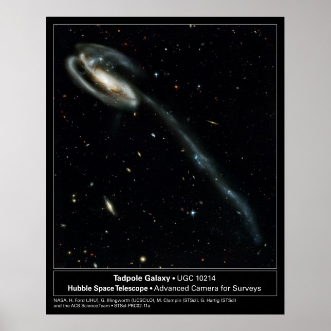 Tadpole Galaxy Hubble Telescope Photo Poster (Front)