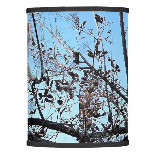 Tadpole Lamp Shade (Front)