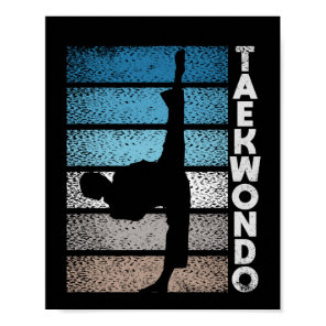 Tae Kwon Do fighter Taekwondo Korean fight Poster