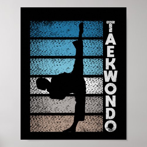 Tae Kwon Do fighter Taekwondo Korean fight Poster
