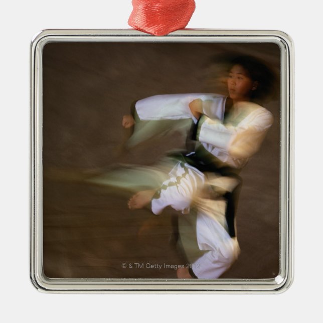 Tae Kwon Do Leap Kick Metal Ornament (Front)