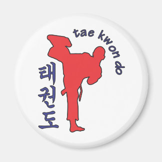 tae kwon do magnet