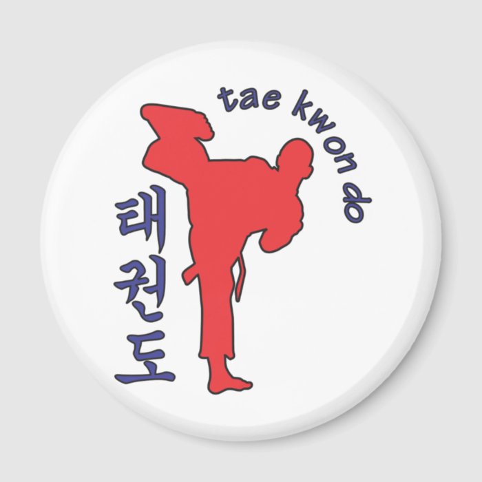 tae kwon do magnets