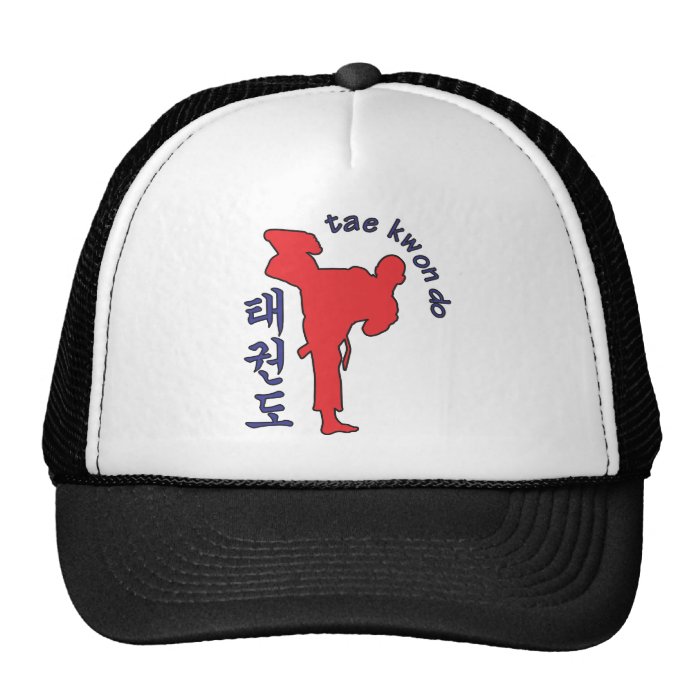 tae kwon do mesh hats